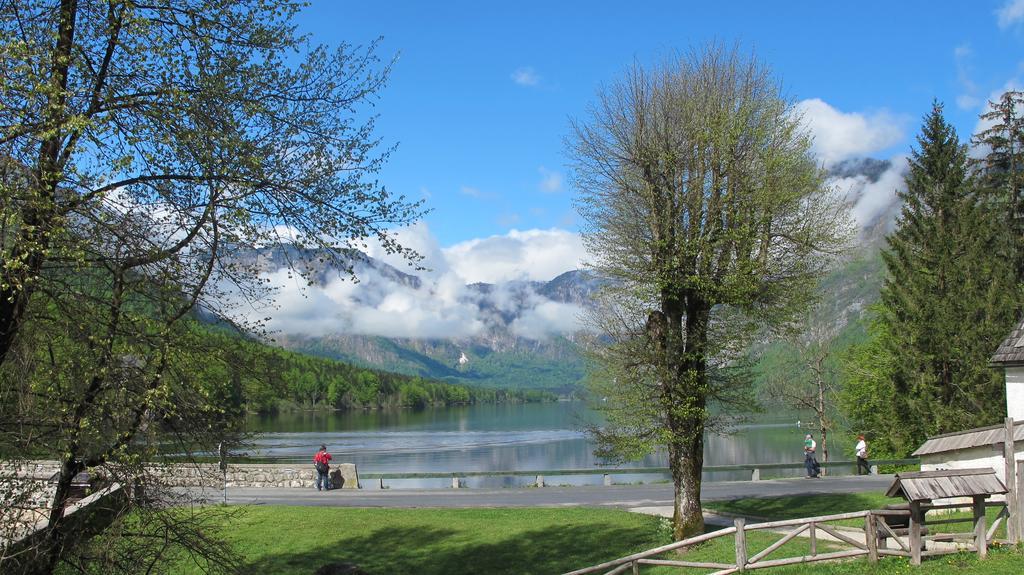 Apartment Zalokar Bohinj Bilik gambar