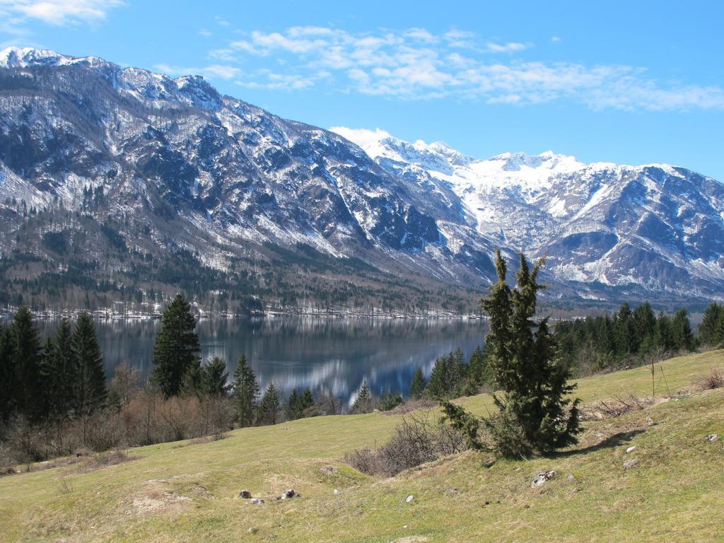 Apartment Zalokar Bohinj Bilik gambar